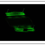 Musco Show-Light